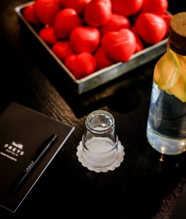 Konferens Detalj Freys Hotel