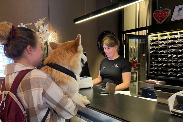 Freys Hotel Hund Incheckning